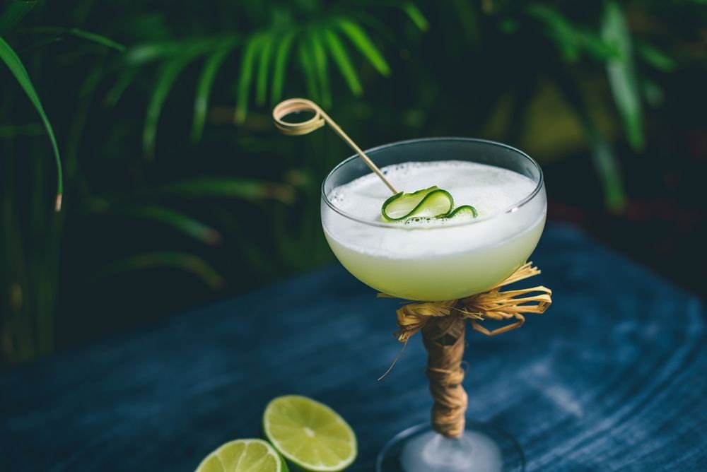 Cucumber Gimlet Martini